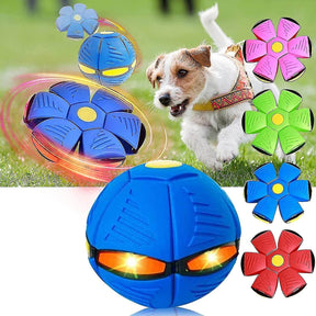 Elevate Playtime with Our Flying Saucer Doggy Disc Ball!