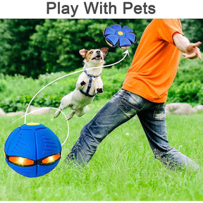 Elevate Playtime with Our Flying Saucer Doggy Disc Ball!