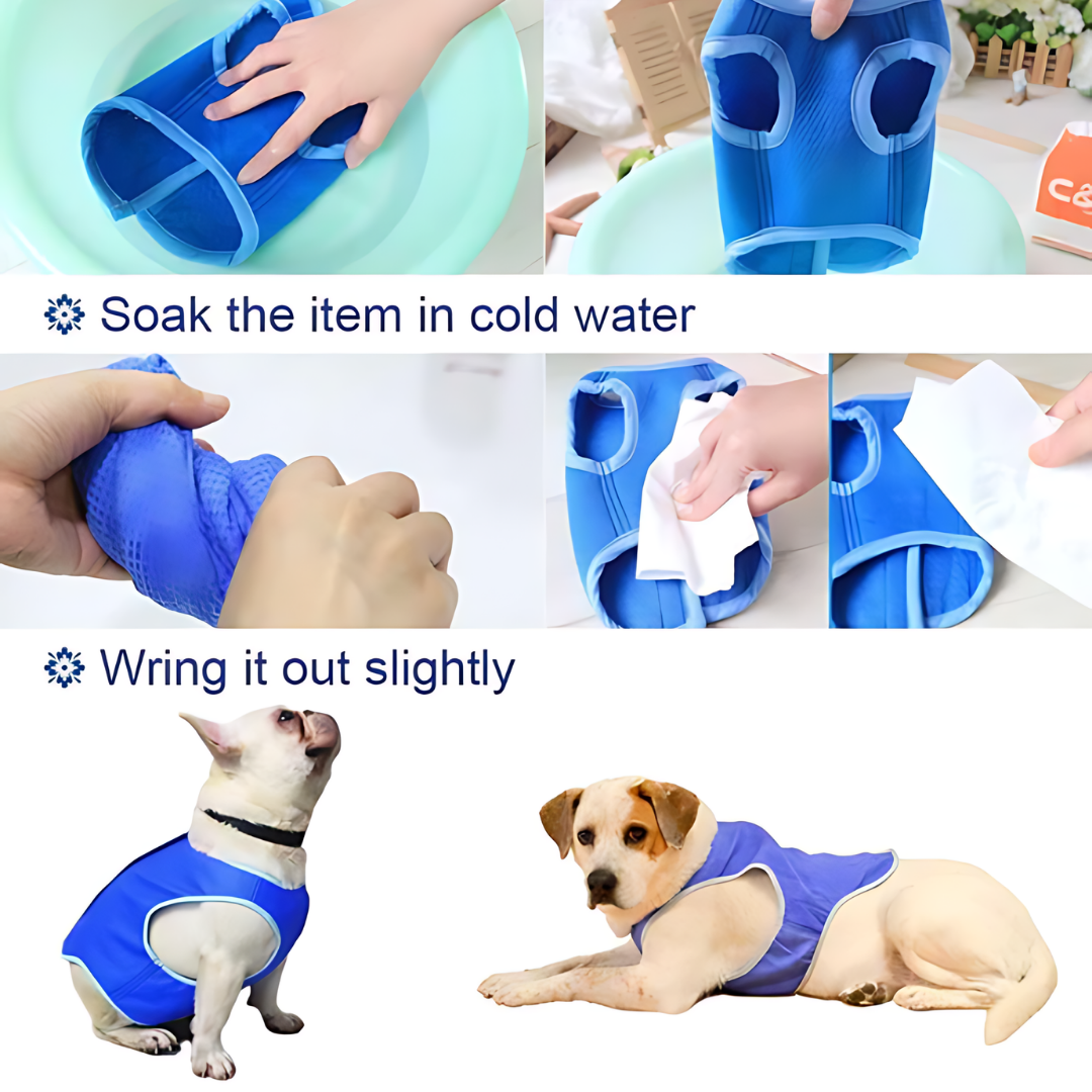 Breathable Dog Cooling Vest