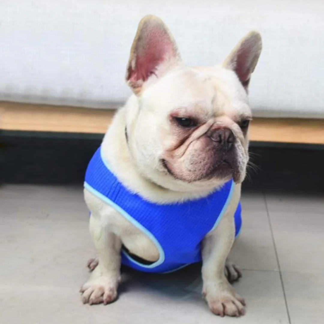 Breathable Dog Cooling Vest