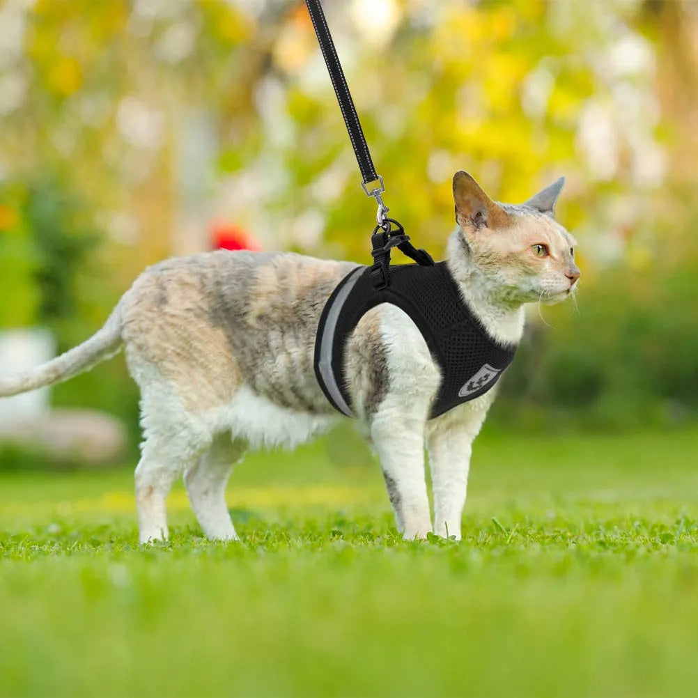 Purrfect Escape-Proof Breathable Cat Harness & Leash - Adjustable, Reflective, and Comfortable Vest for Kittens and Puppies! 🌟🐾🔒✨