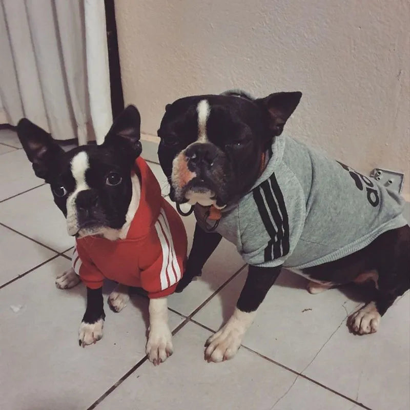 Sporty Pup Style: 'Adidog' Hoodies for Winter - Cozy Sweatshirts for Small to Large Dogs and Cats, Perfect for Chilly Adventures! 🐕🐾👕