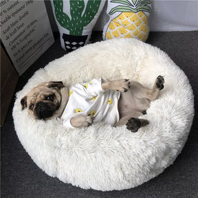 Pretty&Better Calming Plush Donut Dog Bed 🐾: 18 Colors, Warm Winter Sofa for Puppies & Pets 🛏️❄️