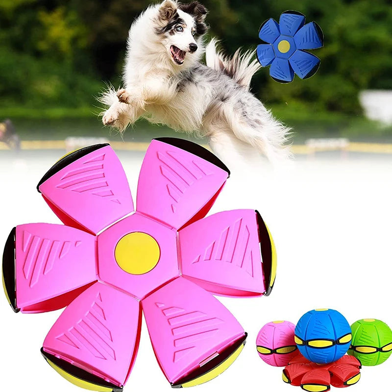 Elevate Playtime with Our Flying Saucer Doggy Disc Ball!