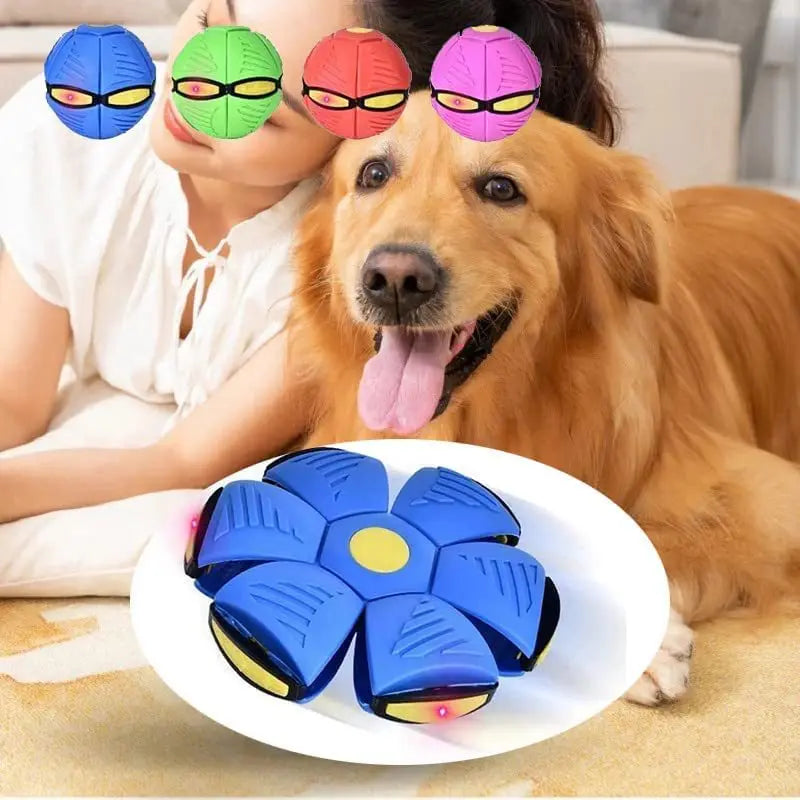 Elevate Playtime with Our Flying Saucer Doggy Disc Ball!