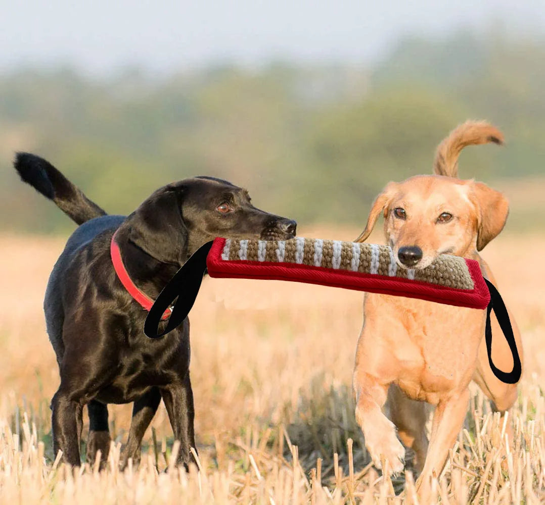 🐾 Tug & Train Joy: Heavy-Duty Dog Training Toy with Rope Handles - Perfect for Interactive Play and Chewing Delight! 🐕💪