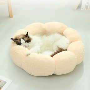 Super Soft Pet Bed: Warm Winter Sofa for Cats & Dogs 🐱🐶🛌❄️