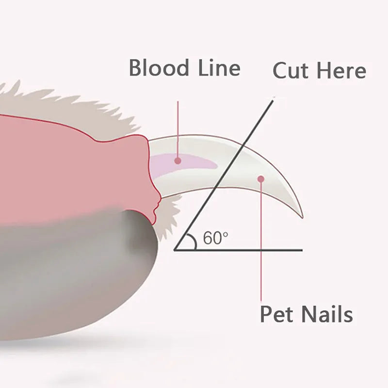 LED Pet Nail Clippers - Dog & Cat Claw Trimmer with Light