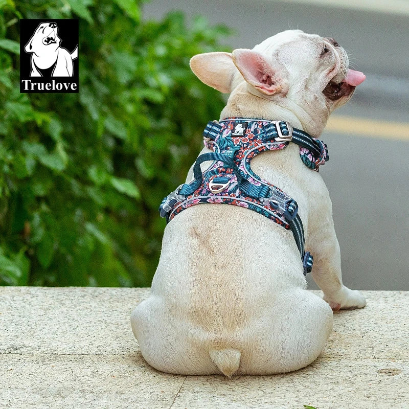 TrueLove Fashion Pet Harness: Small-Medium-Large Dogs, Outdoor 🐕🌟🍃