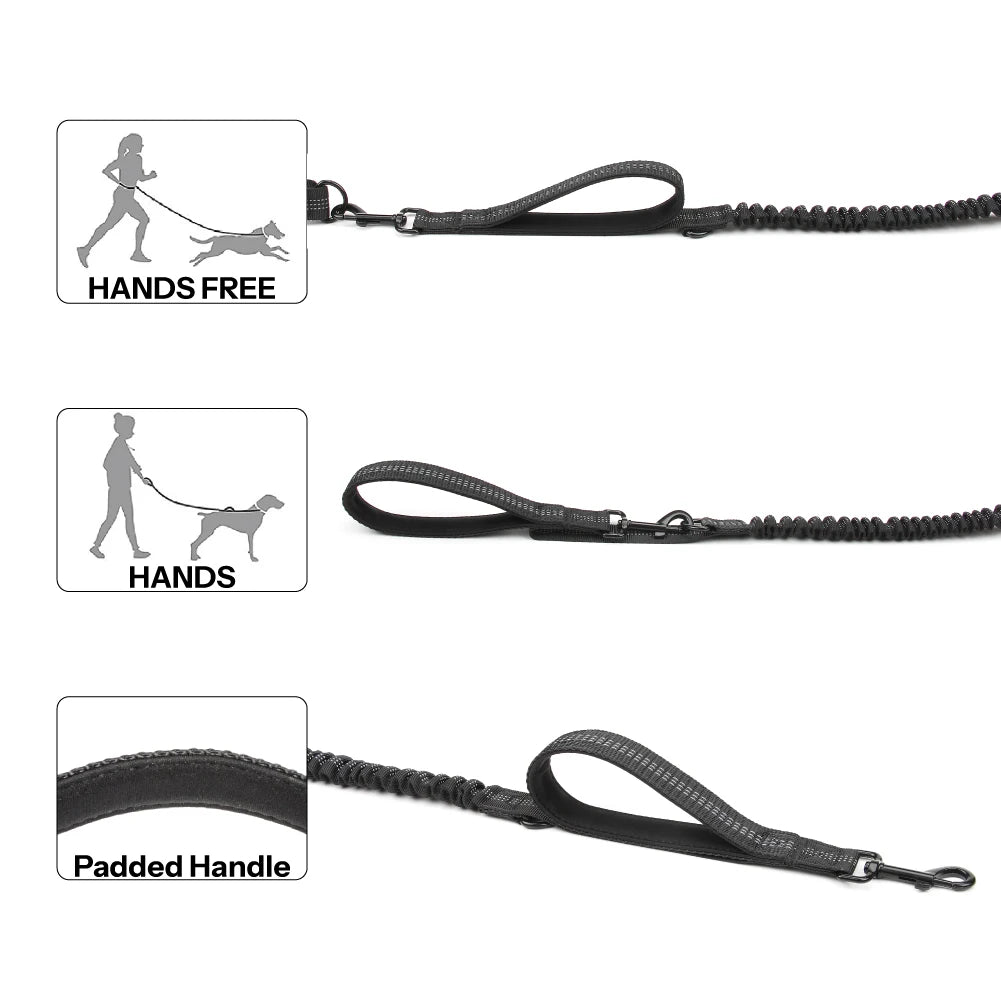 Hands-Free, Reflective Bungee Dog Leash for Running - High Quality 🐾🏃‍♂️