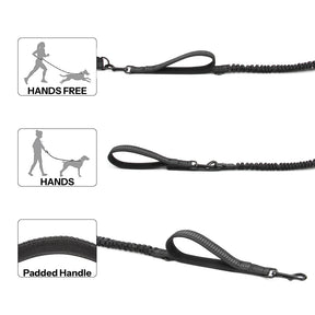 Hands-Free, Reflective Bungee Dog Leash for Running - High Quality 🐾🏃‍♂️