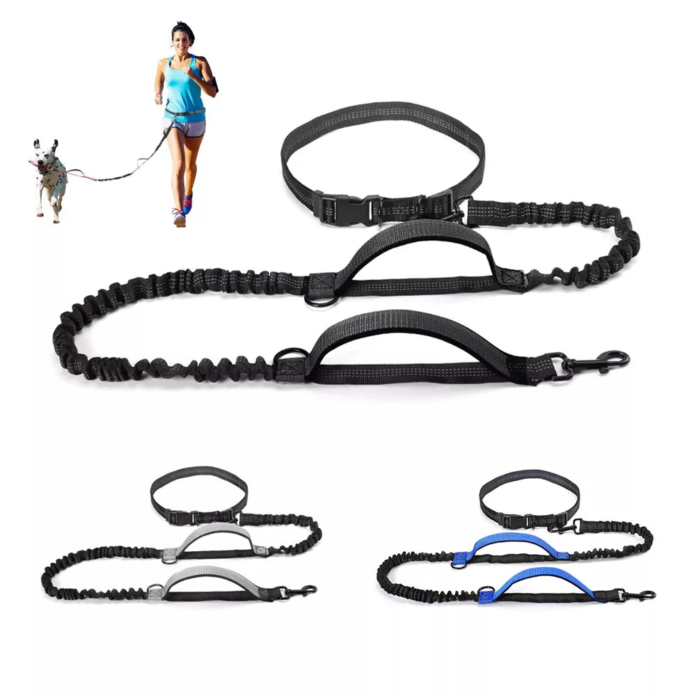 Hands-Free, Reflective Bungee Dog Leash for Running - High Quality 🐾🏃‍♂️