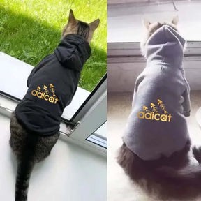 Autumn/Winter Designer Hoodies for Your Trendsetting Kitty and Puppy! 🐶✨