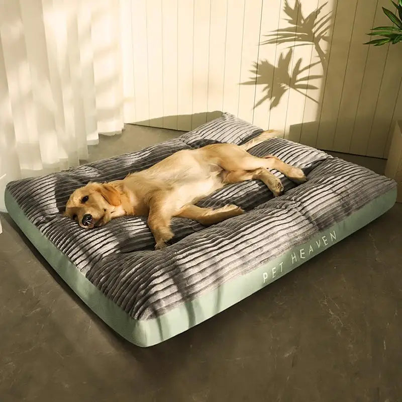 Cute Plush Corduroy Dog Bed: Washable, Comfortable Pet Mat 🐾🛌