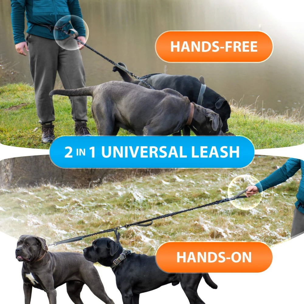 Hands-Free, Reflective Bungee Dog Leash for Running - High Quality 🐾🏃‍♂️