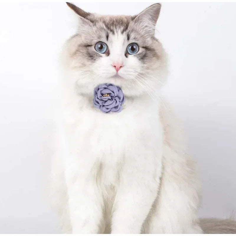 🌟🎀 Purr-fect Elegance: Chic Adjustable Bow Tie & Flower Collars - Stylish Safety for Your Beloved Pets! 🐱🐶