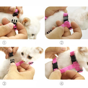 👼🐾 Heavenly Comfort: Angel Wings Cat Harness Set - Perfect for Purrfect Pets! 🐱