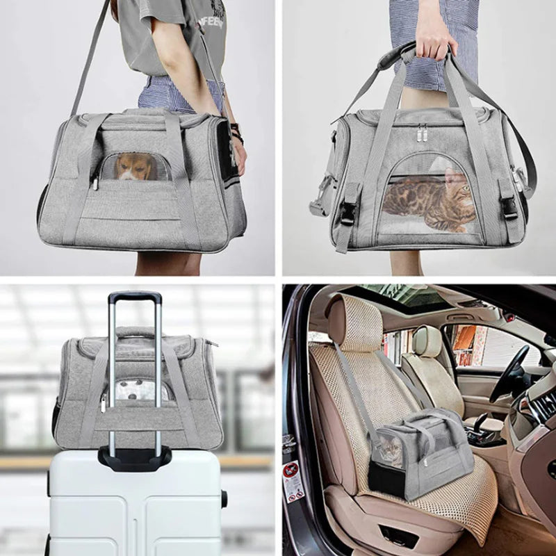 Cute Portable Pet Carrier Backpack - Comfortable Dog Travel Bag 🐶🎁