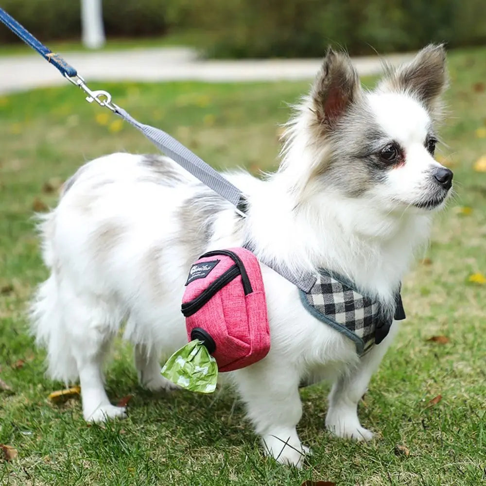 🐕🌟 Grab & Go Glam: The Ultimate Multifunctional Pet Treat Pouch for Outdoor Fun! 🚀🐾