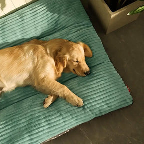 Cute Plush Corduroy Dog Bed: Washable, Comfortable Pet Mat 🐾🛌