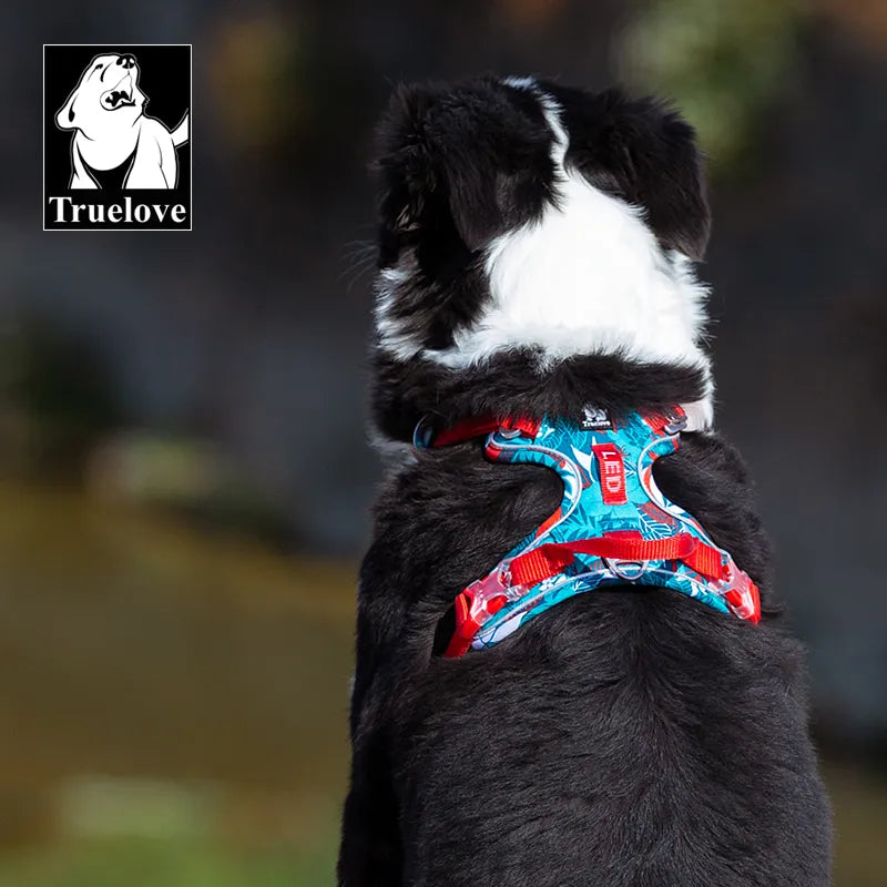 TrueLove Fashion Pet Harness: Small-Medium-Large Dogs, Outdoor 🐕🌟🍃