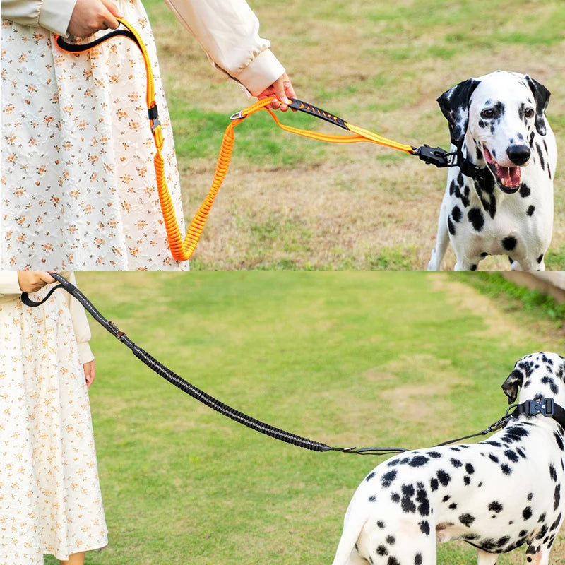 Reflective No-Pull Large Dog Leash: Shock-Absorbing, Car Seatbelt 🐾✨