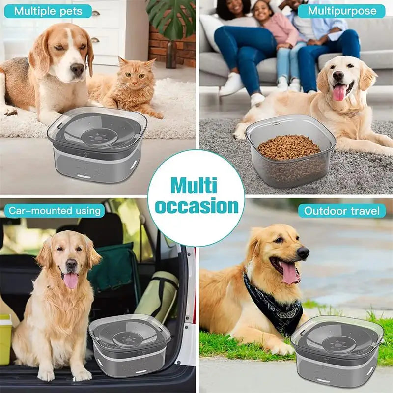 Splash-Proof Cat & Dog Water Bowl: 2L Large Capacity 🐾💧🐶🐱