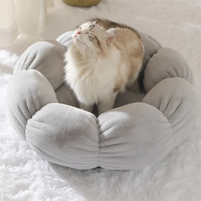 Super Soft Pet Bed: Warm Winter Sofa for Cats & Dogs 🐱🐶🛌❄️