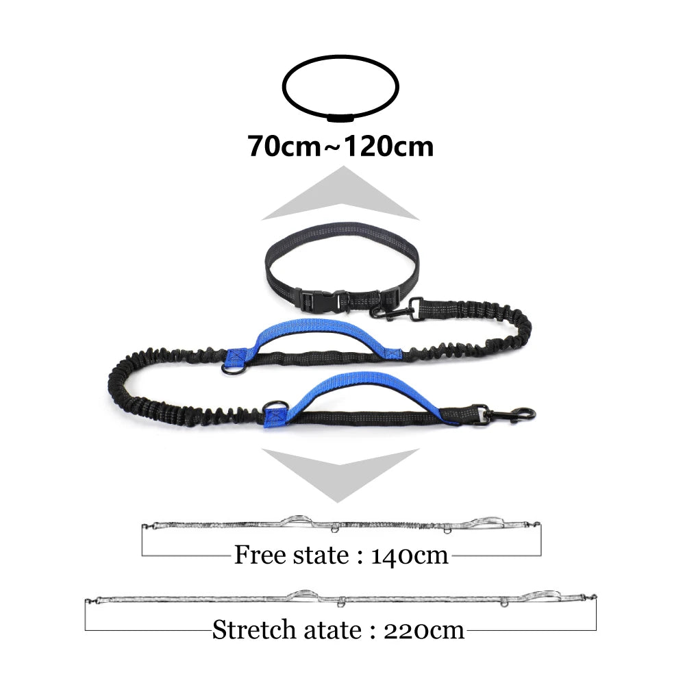 Hands-Free, Reflective Bungee Dog Leash for Running - High Quality 🐾🏃‍♂️