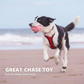 Durable Squeaky Chew Ball: Tough Toy for Aggressive Dog Chewers 🐕🦷🎾