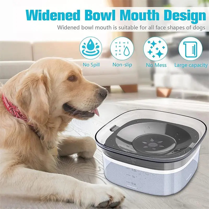 Splash-Proof Cat & Dog Water Bowl: 2L Large Capacity 🐾💧🐶🐱