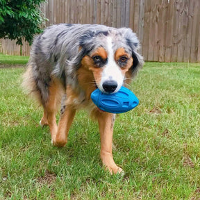 Durable Squeaky Chew Ball: Tough Toy for Aggressive Dog Chewers 🐕🦷🎾