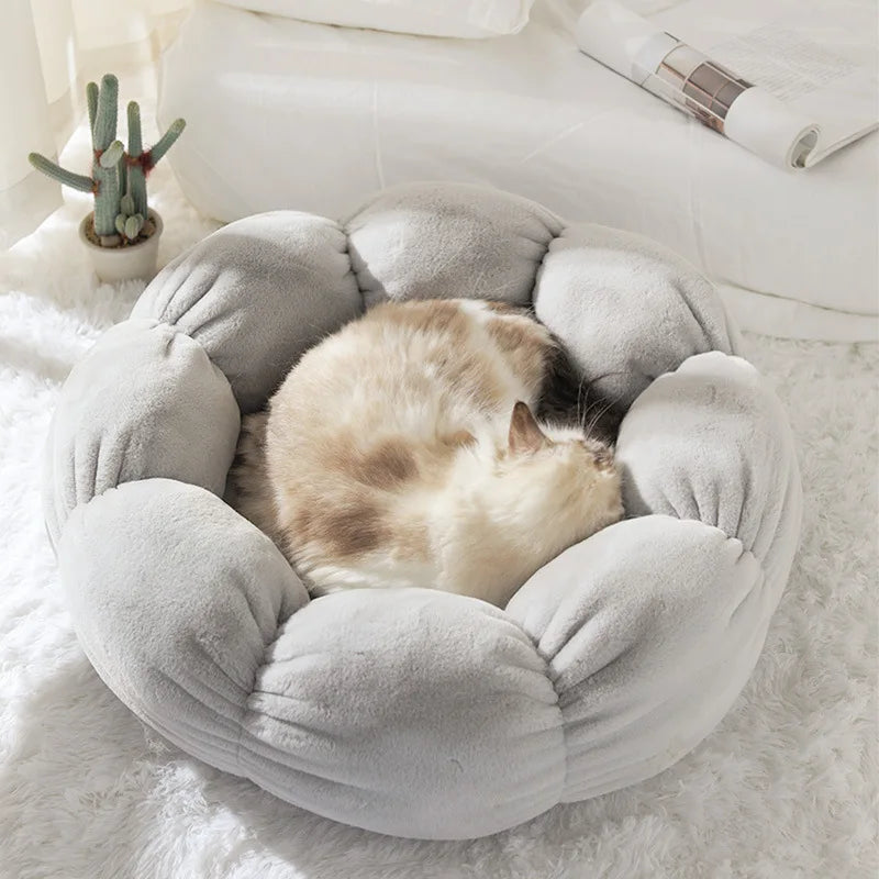 Super Soft Pet Bed: Warm Winter Sofa for Cats & Dogs 🐱🐶🛌❄️