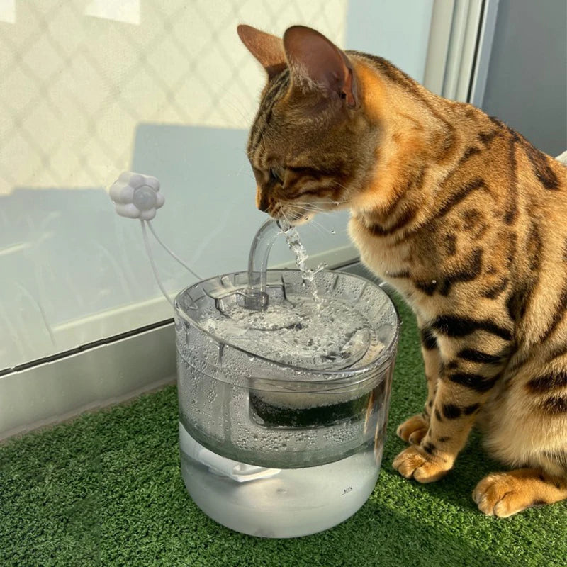 Purr-fectly Hydrated: USB-Powered Cat Water Fountain with Auto-Filtering Magic! 💦🐾