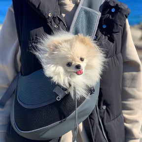 Comfy, Stylish Pet Puppy Carrier 🐾👜🌟🐕