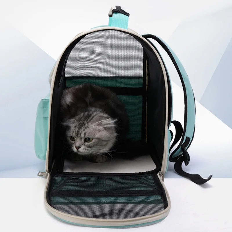 Windproof Cat Travel Backpack - Comfy Outdoor Carrier with Cushion 🐱🎒