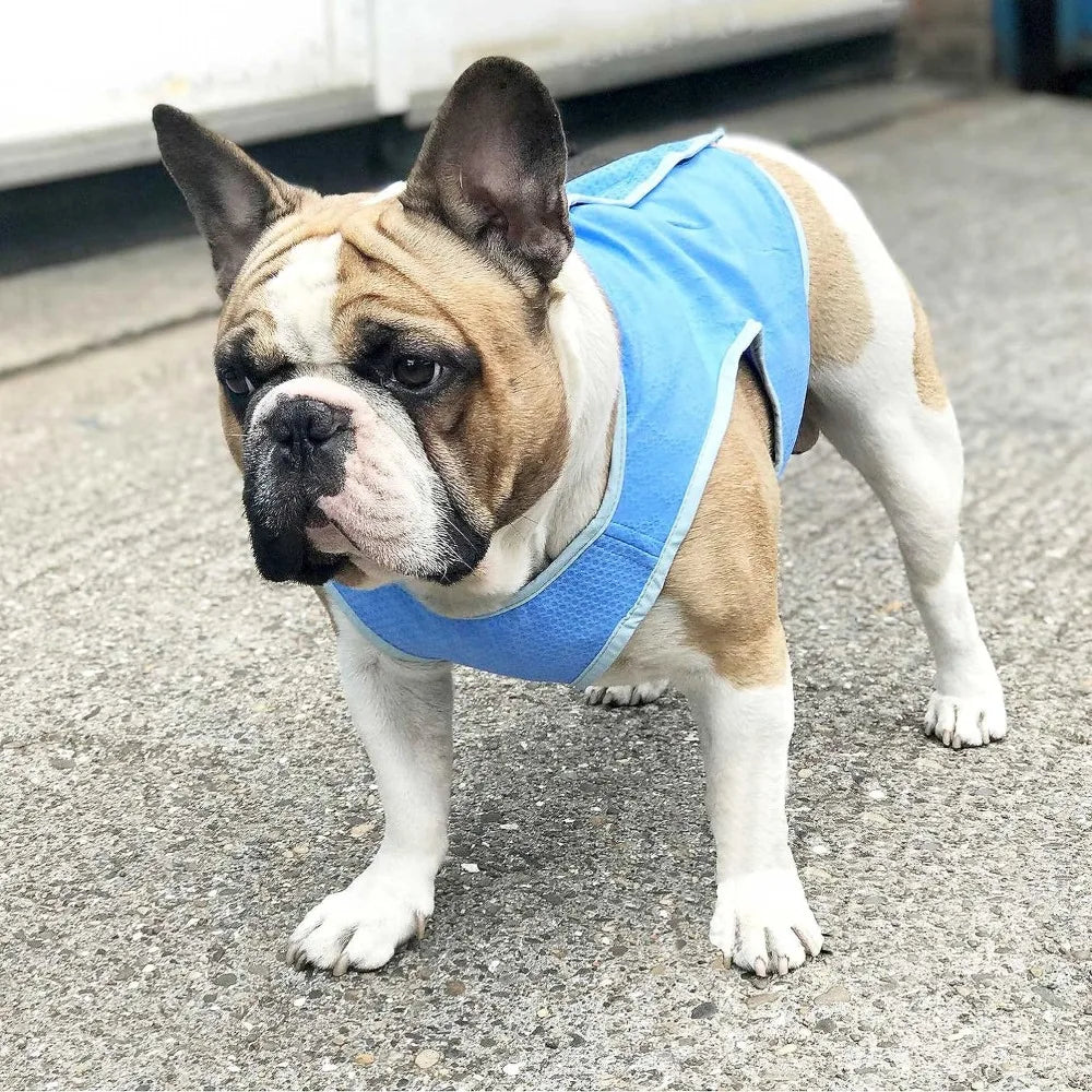 Breathable Dog Cooling Vest