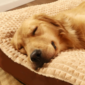 Warm Fleece Pet Bed: Detachable Cushion for Dogs & Cats 🐾🛌✨