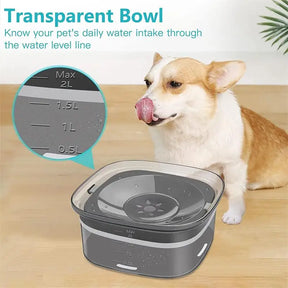 Splash-Proof Cat & Dog Water Bowl: 2L Large Capacity 🐾💧🐶🐱