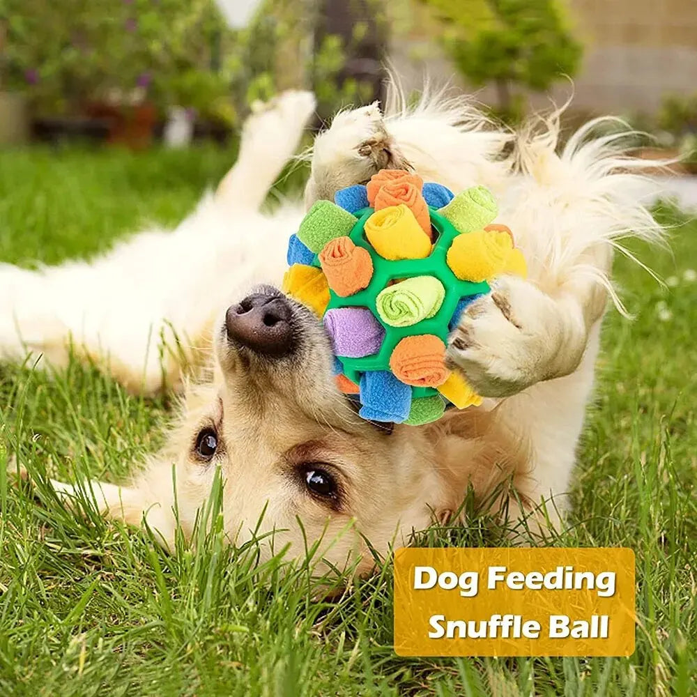 Sniff 'n Play Surprise! 🐾✨ Pet Smell-Fried Ball Toy: Dog Blind Box Adventure with Hidden Food Bubble Fun! 🎁🦴