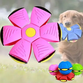 Elevate Playtime with Our Flying Saucer Doggy Disc Ball!