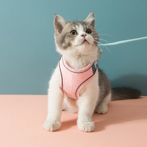 Pawsitively Chic: Harness Leash Set for Petite Paws - Cat and Dog Accessories for Stylish Strolls! 🐾🌟