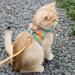 Pawsitively Chic: Harness Leash Set for Petite Paws - Cat and Dog Accessories for Stylish Strolls! 🐾🌟