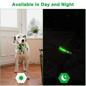 Glowing Elegance: LED Flashing Dog Collar – Adjustable, Rechargeable, and Nighttime Safety for Your Small Pawsome Pal! 🌟🐾