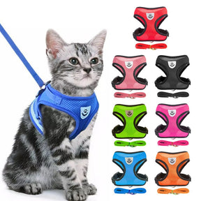 Strut in Style: Adjustable Cat Harness & Vest Set with Breathable Mesh – Purr-fect Walks for Your Fashionable Feline! 🐾🌈