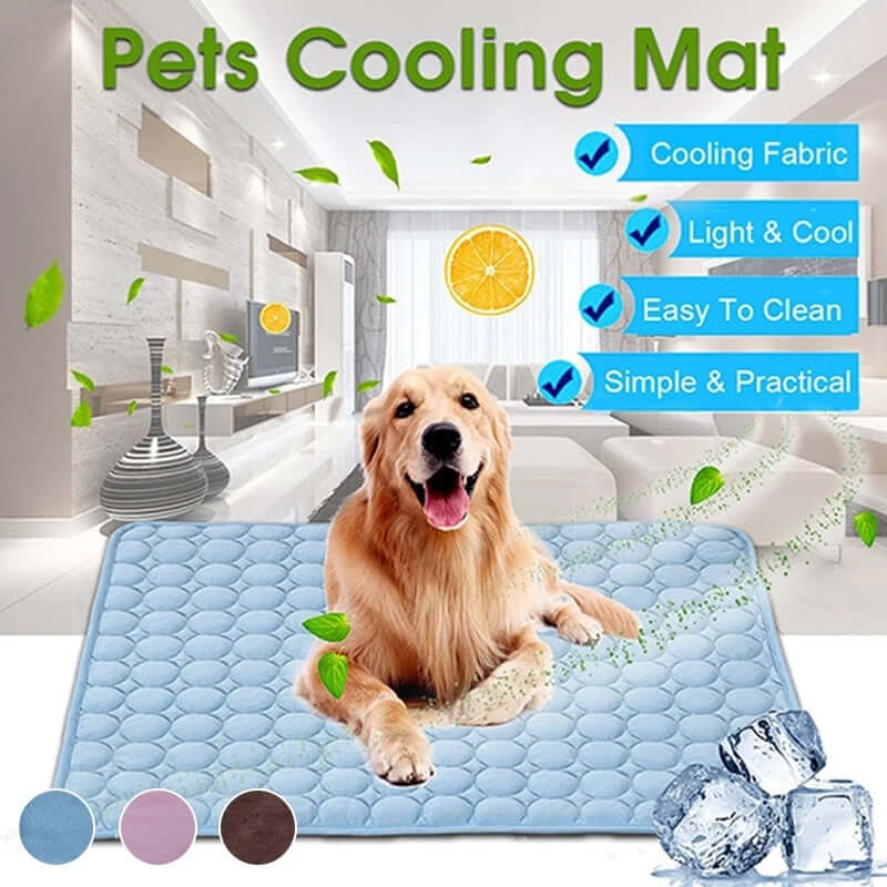 Chill & Thrill: Cooling Summer Pad for Dogs – Breathable, Washable, and Perfectly Cool Comfort for Pups of All Sizes! ☀️🐾