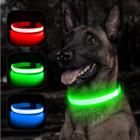 Glowing Elegance: LED Flashing Dog Collar – Adjustable, Rechargeable, and Nighttime Safety for Your Small Pawsome Pal! 🌟🐾