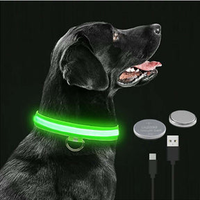 Glowing Elegance: LED Flashing Dog Collar – Adjustable, Rechargeable, and Nighttime Safety for Your Small Pawsome Pal! 🌟🐾