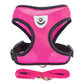 Strut in Style: Adjustable Cat Harness & Vest Set with Breathable Mesh – Purr-fect Walks for Your Fashionable Feline! 🐾🌈