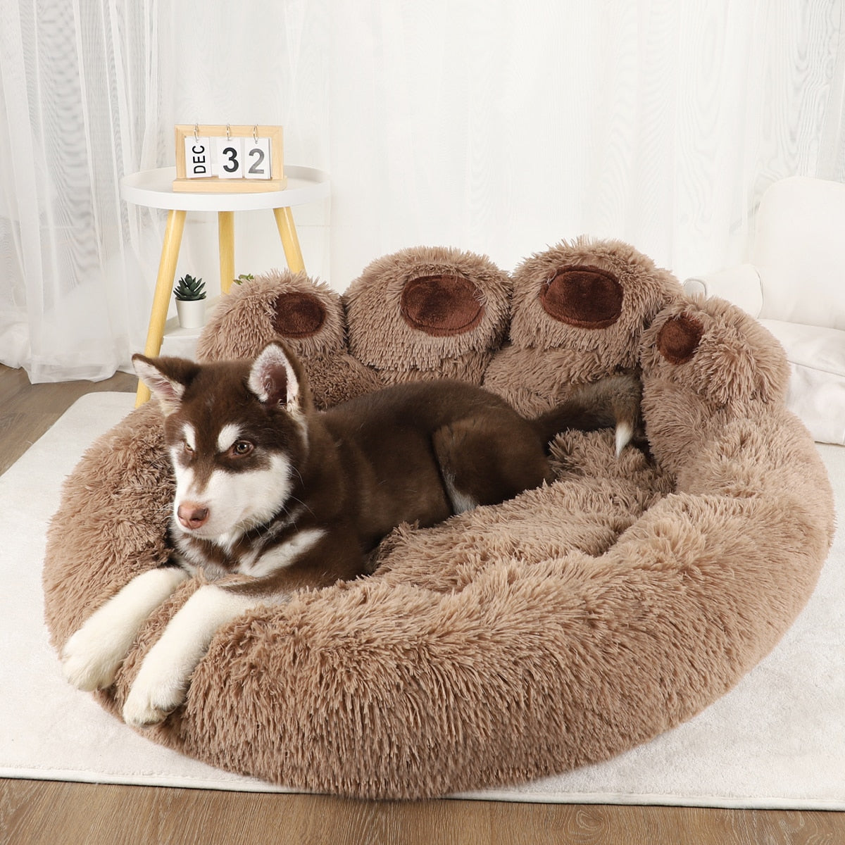 Pet Dog Sofa Beds – Warm, Washable, and Plush Comfort for Dogs Big and Small! 🛋️🐾